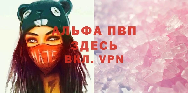 стафф Арсеньев