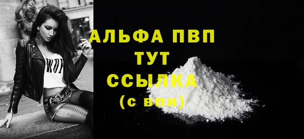 стафф Арсеньев