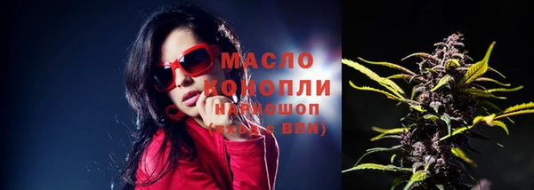стафф Арсеньев