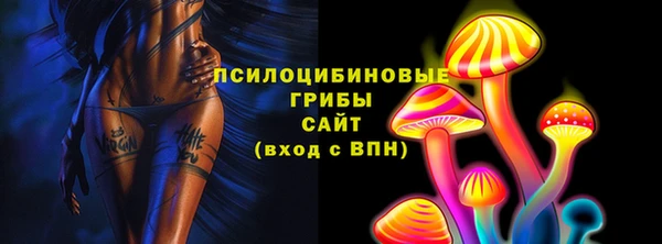 a pvp Аркадак
