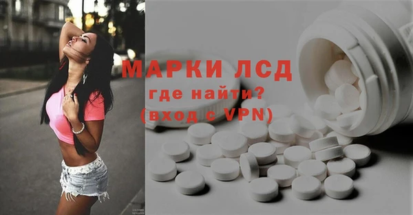 a pvp Аркадак