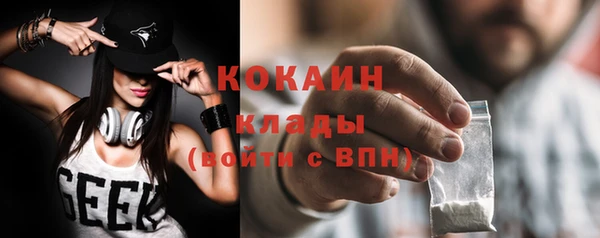 стафф Арсеньев