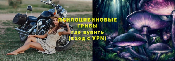 стафф Арсеньев