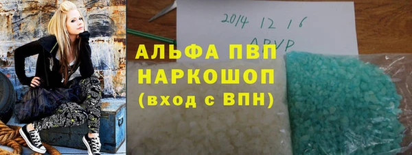 стафф Арсеньев