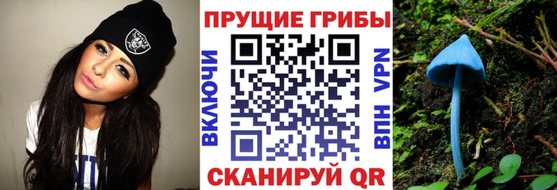 Псилоцибиновые грибы MAGIC MUSHROOMS Рошаль