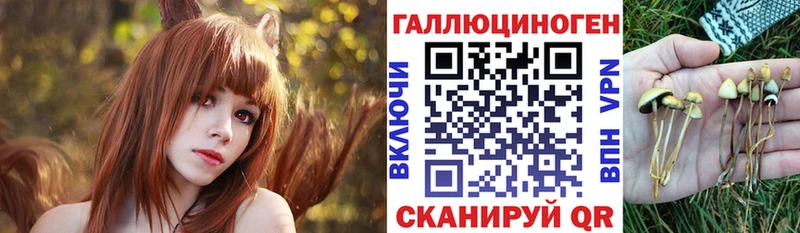 Галлюциногенные грибы мицелий Рошаль