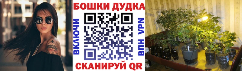 это как зайти  Рошаль  МЕГА вход  Марихуана семена  купить наркотик 